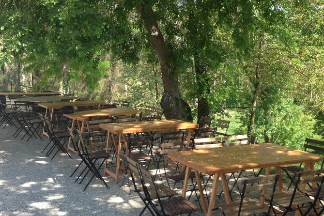 Winery tour with Wine and Olive tasting in Corfu - Why Theotoky Estate feels like a countryside break in Corfu