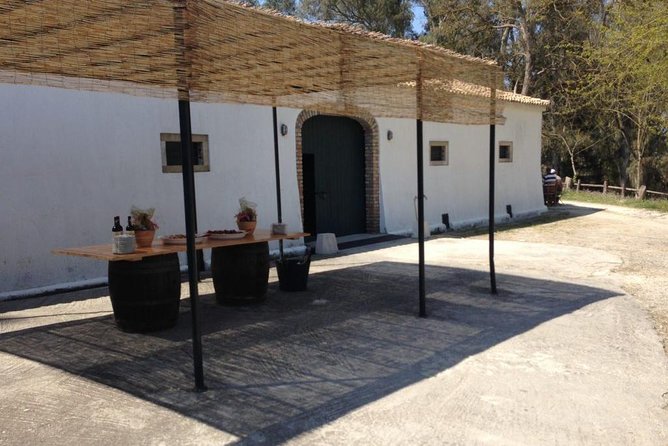 Winery tour with Wine and Olive tasting in Corfu - Who this tour suits best on Corfu