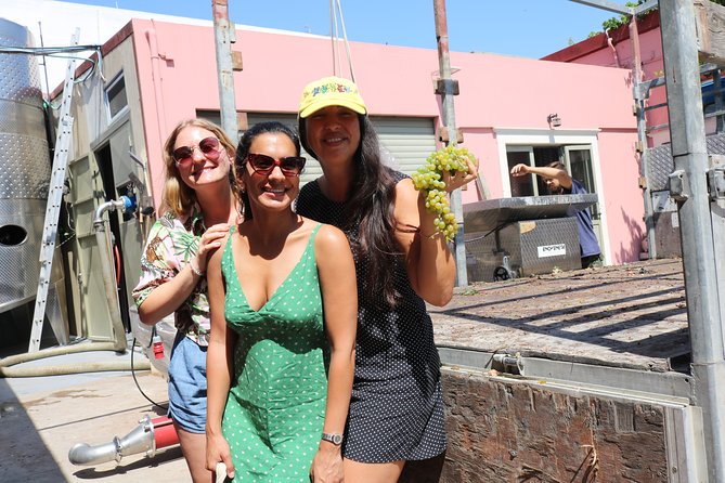 "YAMAS" - Winery tour &wine tasting - Price and value: $36.20 for a guided, six-wine education