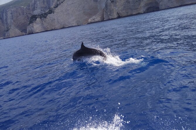 Zakynthos All Day Tour Shipwreck beach, view point-Blue Caves - Porto Vromi to Shipwreck Beach by Boat: The Part You Don’t Want to Miss