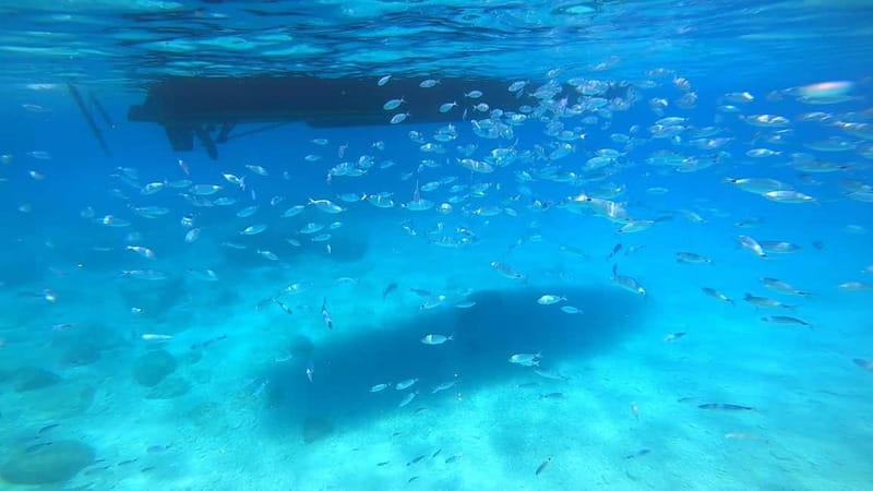 Zakynthos: Blue Caves and Navagio Bay Swim Cruise - Blue Caves Time: Why People Come Back for Just This