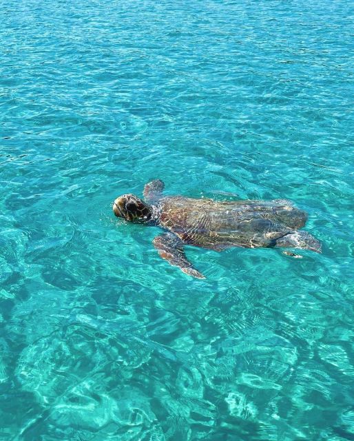Zakynthos: Boat Rental - Key highlights worth your attention