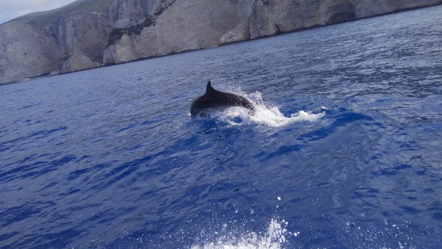 Zakynthos: early morning Shipwreck,Blue Caves and view point - Why this 8-hour early-morning route works for Navagio and the Blue Caves