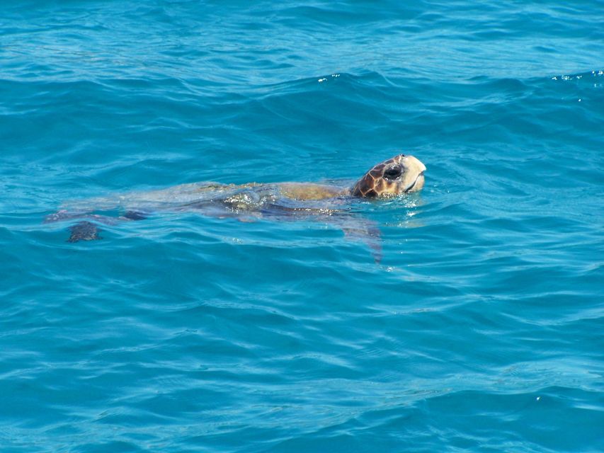 Zakynthos: Guided Boat Cruise to Turtle Island & Keri Caves - From Agios Sostis to Turtle Island and the Caves