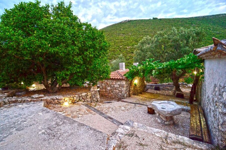 Zakynthos: Vineyard & Winery Tour with Local Winemaker - What to Bring and How to Prepare